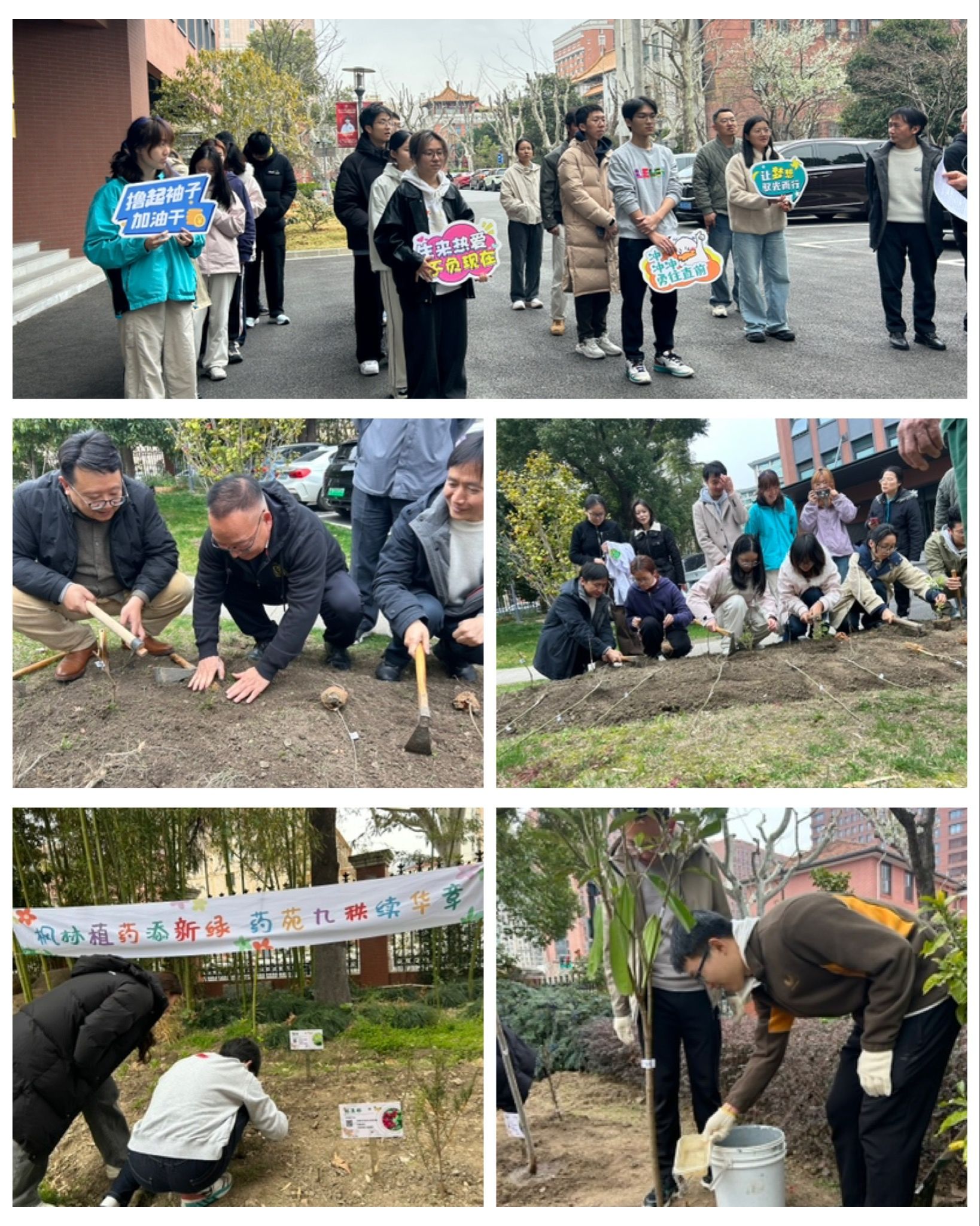 038a46eb6b19d993ca74588584ca2de